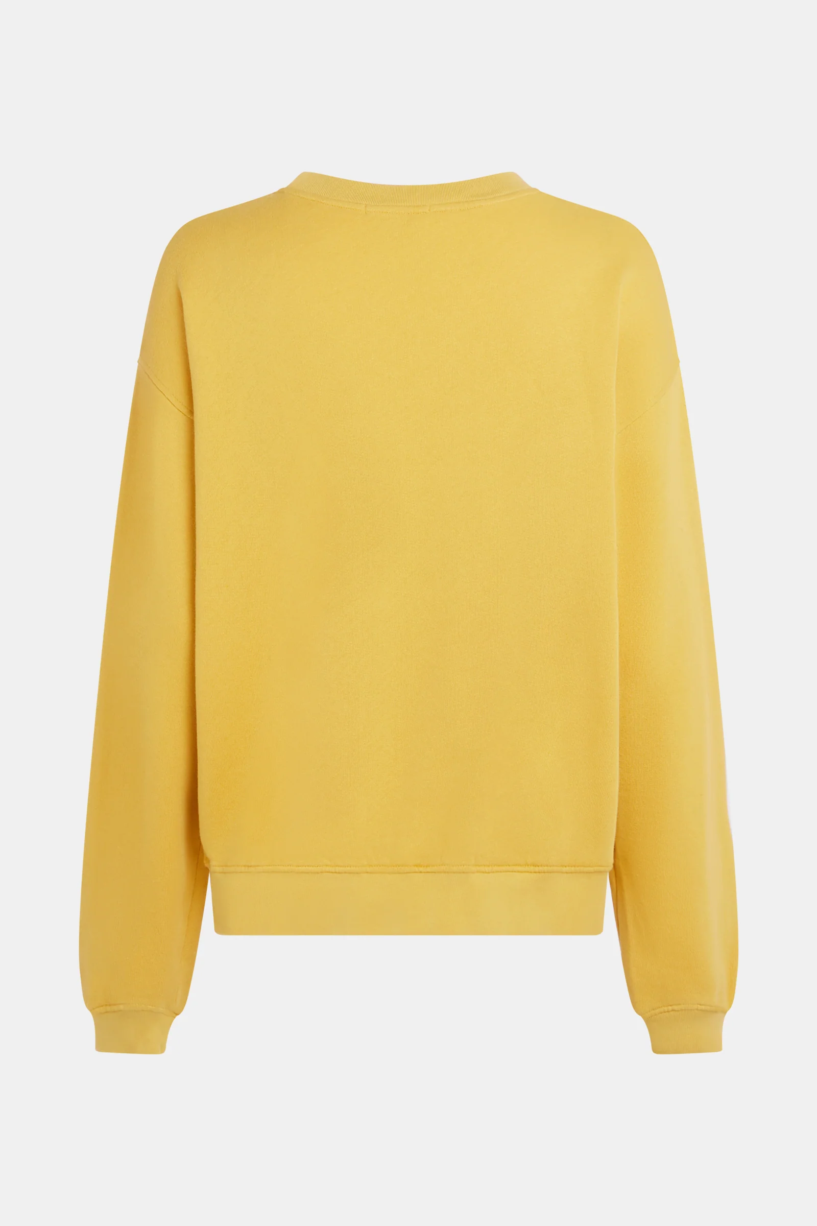 SWEATER PRINT (S26F1827) BAMBOO - ECRU - Image 3